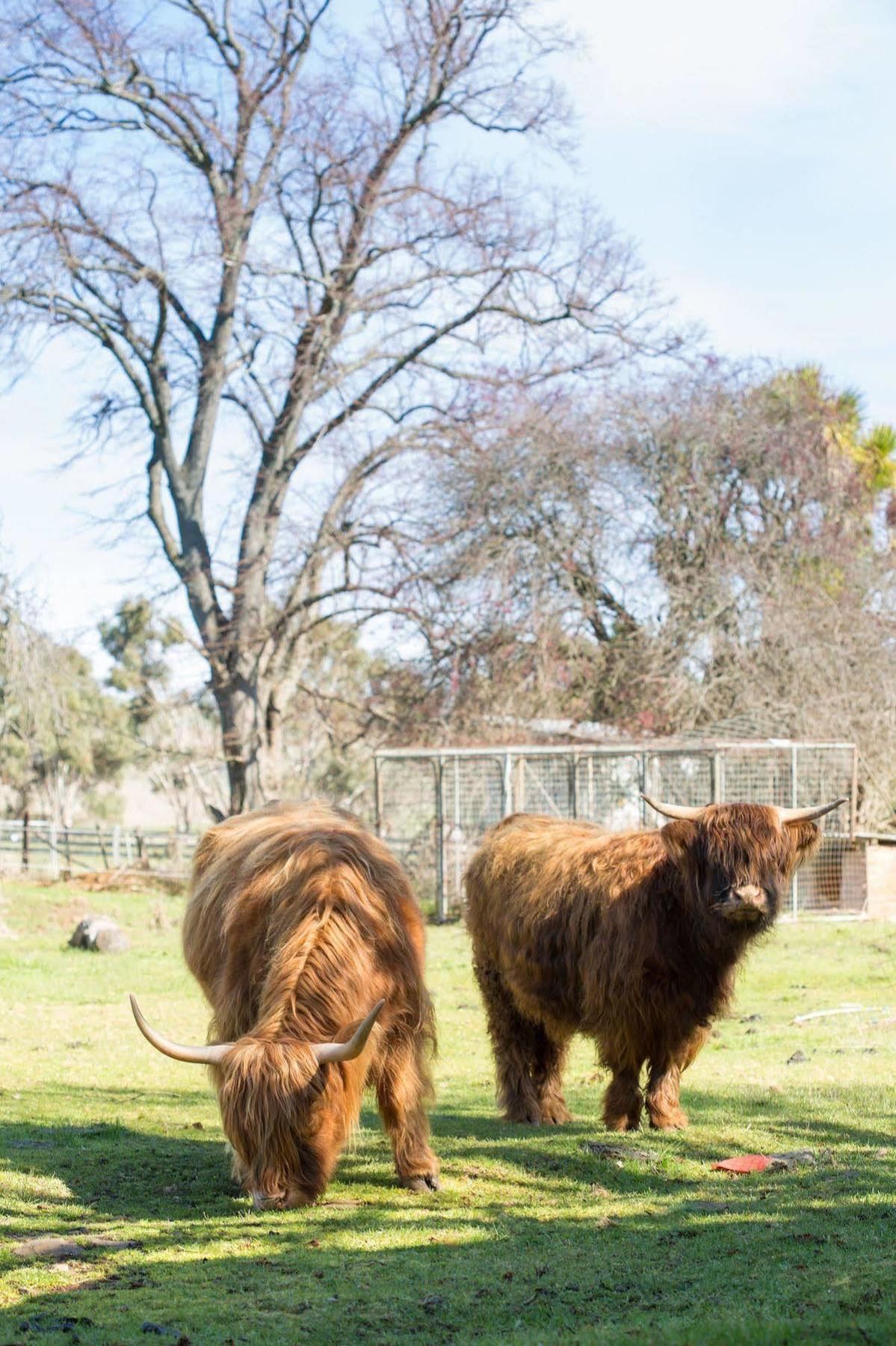 Готель Ratho Farm Bothwell Екстер'єр фото